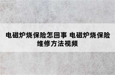 电磁炉烧保险怎回事 电磁炉烧保险维修方法视频